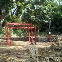 L'arbre de la paix de Mayotte et le parcours de santé